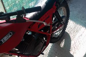 moto e scooter 