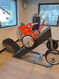 leg Press 45 icarian style