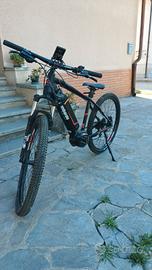 bici e-bike