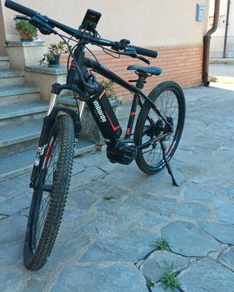 bici e-bike