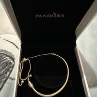Bracciale Pandora Moment