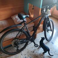 MTB 29' CUBE RACE ONE 2021