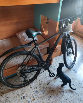 MTB 29' CUBE RACE ONE 2021