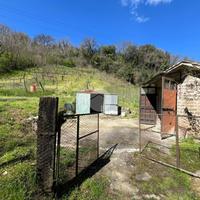 TER. AGRICOLO A TARANO