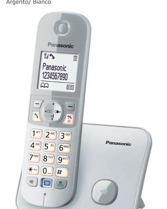 Panasonic KX-TG6811JTS Telefono Cordless DECT,