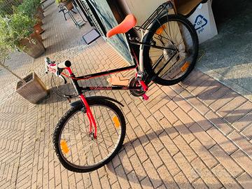 City bike bottecchia