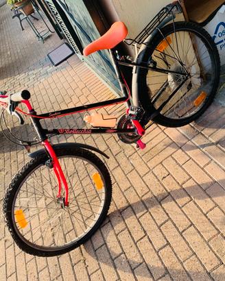 City bike bottecchia