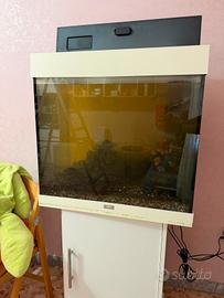 Acquario con mobiletto