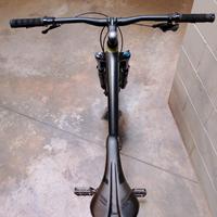 Giant Stance 29