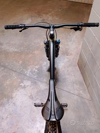 Giant Stance 29