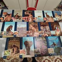 Enciclopedia - Nel meraviglioso regno degli animal