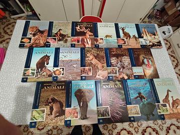 Enciclopedia - Nel meraviglioso regno degli animal