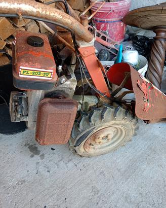 Motofalciatrice Benassi