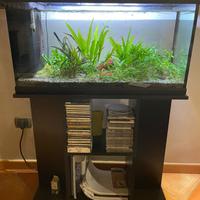 ACQUARIO CON MOBILE 100 l.