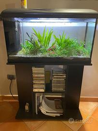ACQUARIO CON MOBILE 100 l.