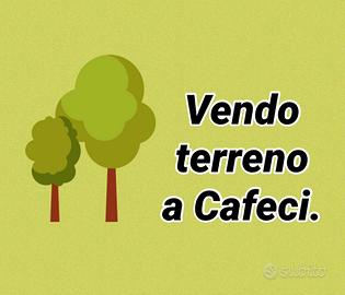 Terreno Cafeci