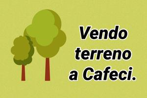 Terreno Cafeci