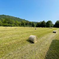 Balle di fieno rotonde piccole 30kg