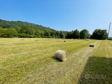 Balle di fieno rotonde piccole 30kg