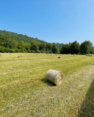 Balle di fieno rotonde piccole 30kg