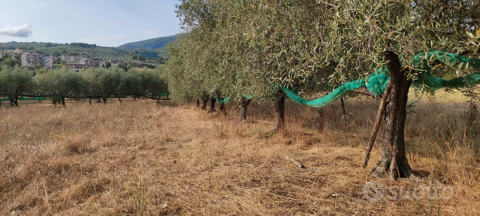 Terreno agricolo - Altro