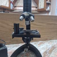 microscopio Fratelli Koristka