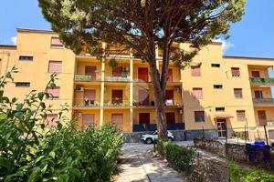 4 LOCALI A CARINI