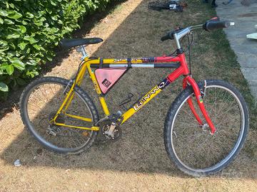 Bicicletta