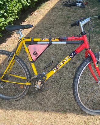 Bicicletta