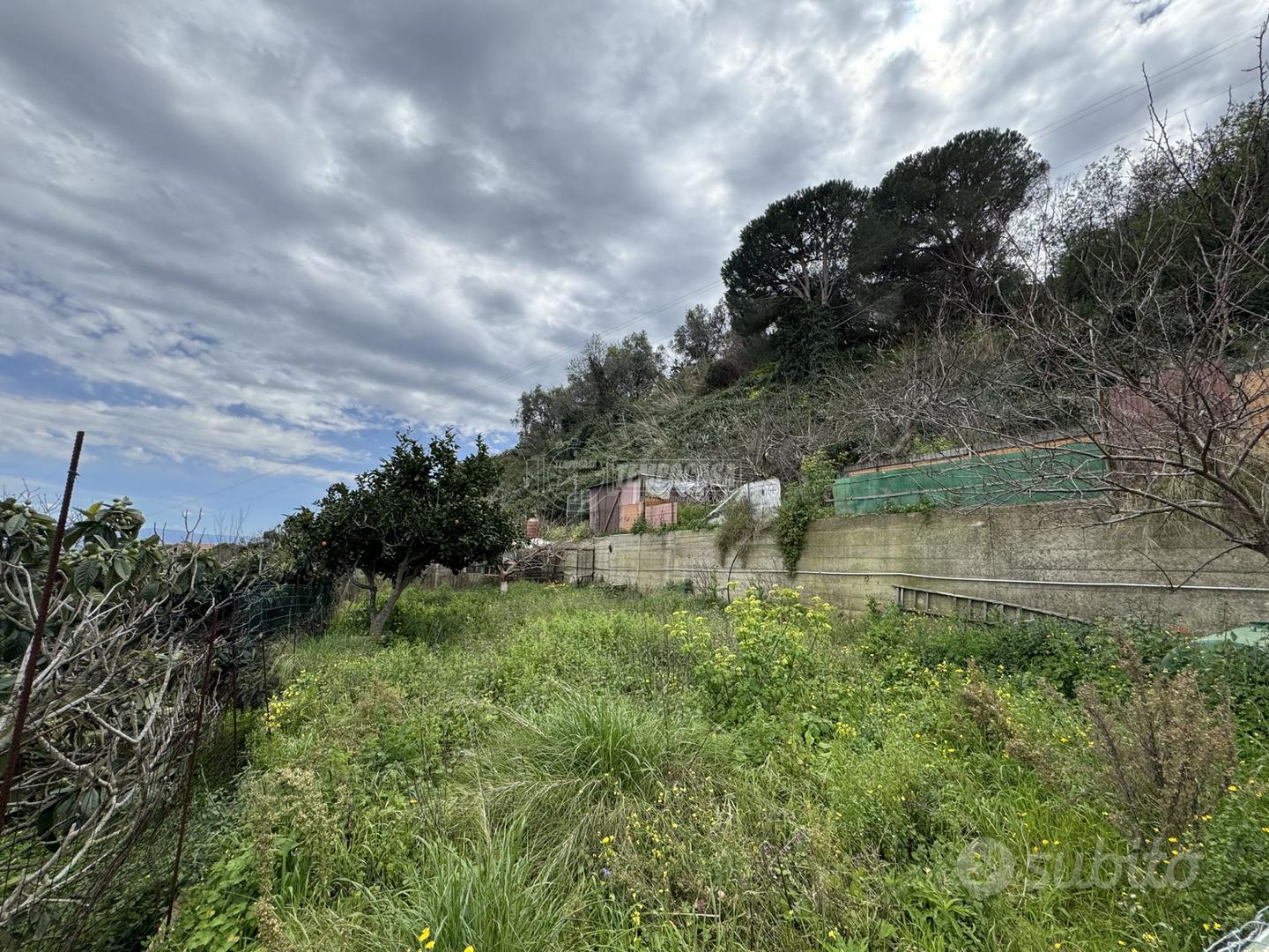 Terreno terrazzato con accesso carrabile in zona C - Altro