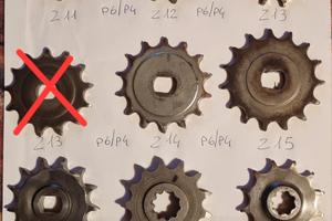 Pignoni Minarelli P4 P6 