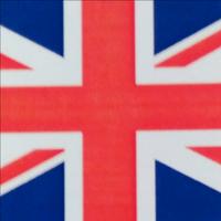 Tutor lingua inglese