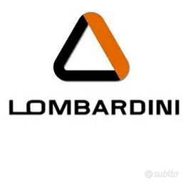 RICAMBI LOMBARDINI RUGGERINI