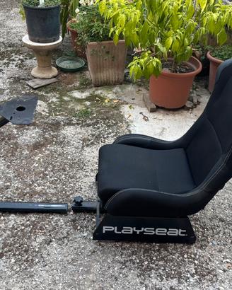 Plaseat Evolution