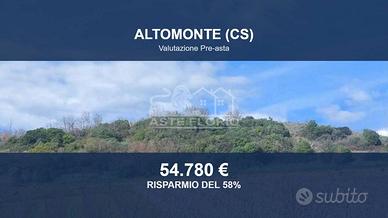 Immobile in asta di 49480 m² a Altomonte