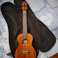 Ukulele 
