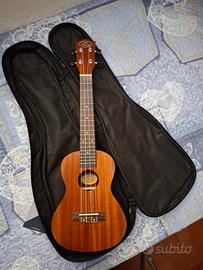 Ukulele 