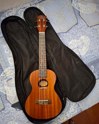 Ukulele 