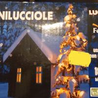 Luci bianche di Natale a Led  - Uso esterno