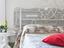 Immagine 12