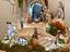 Immagine 6