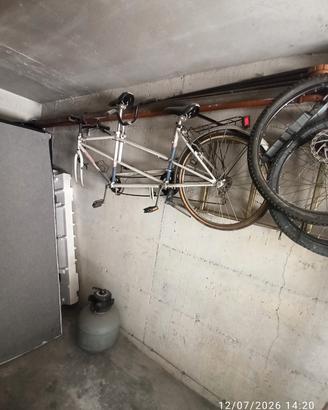bici atala