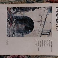 Costruzioni e Terremoto - G. Gavarini et al