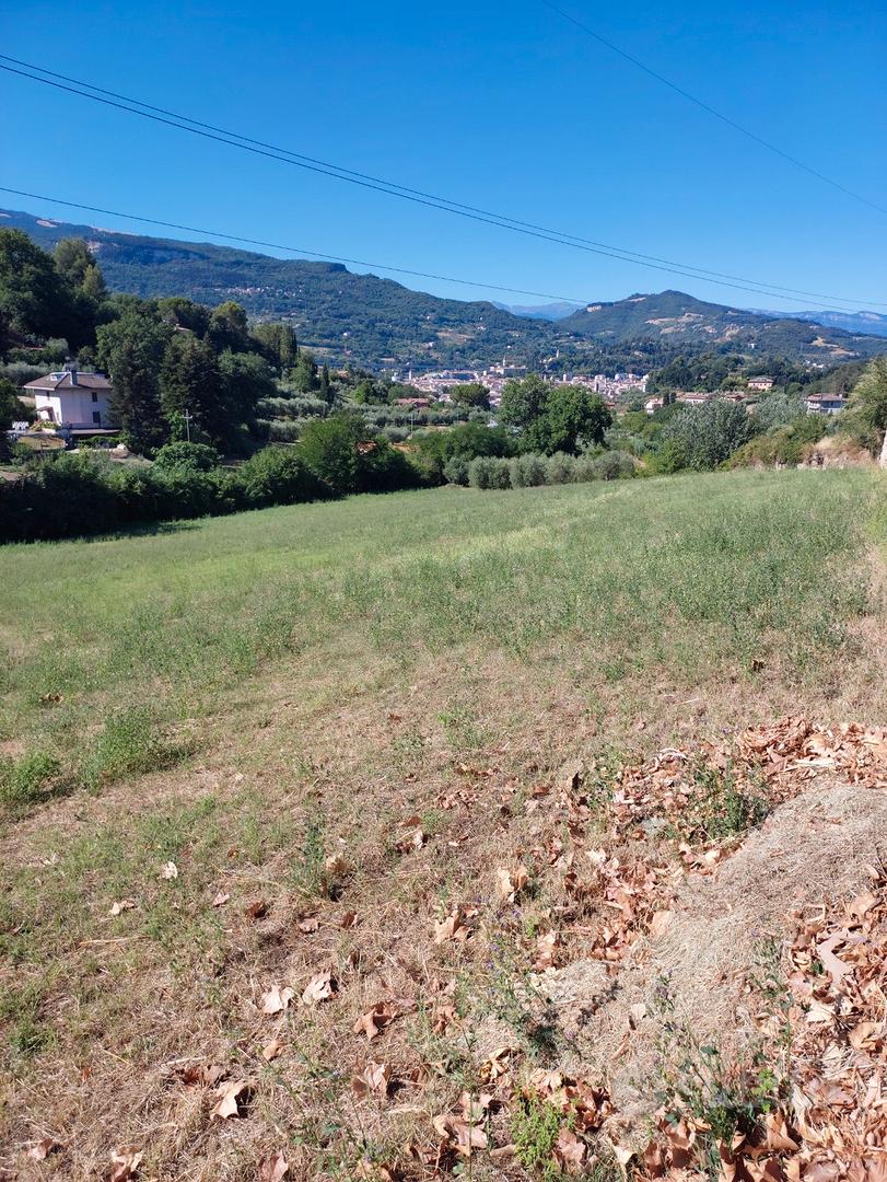 Terreno agricolo Ascoli Piceno - Vista 6