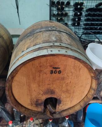 botte in legno di castagno 300 litri