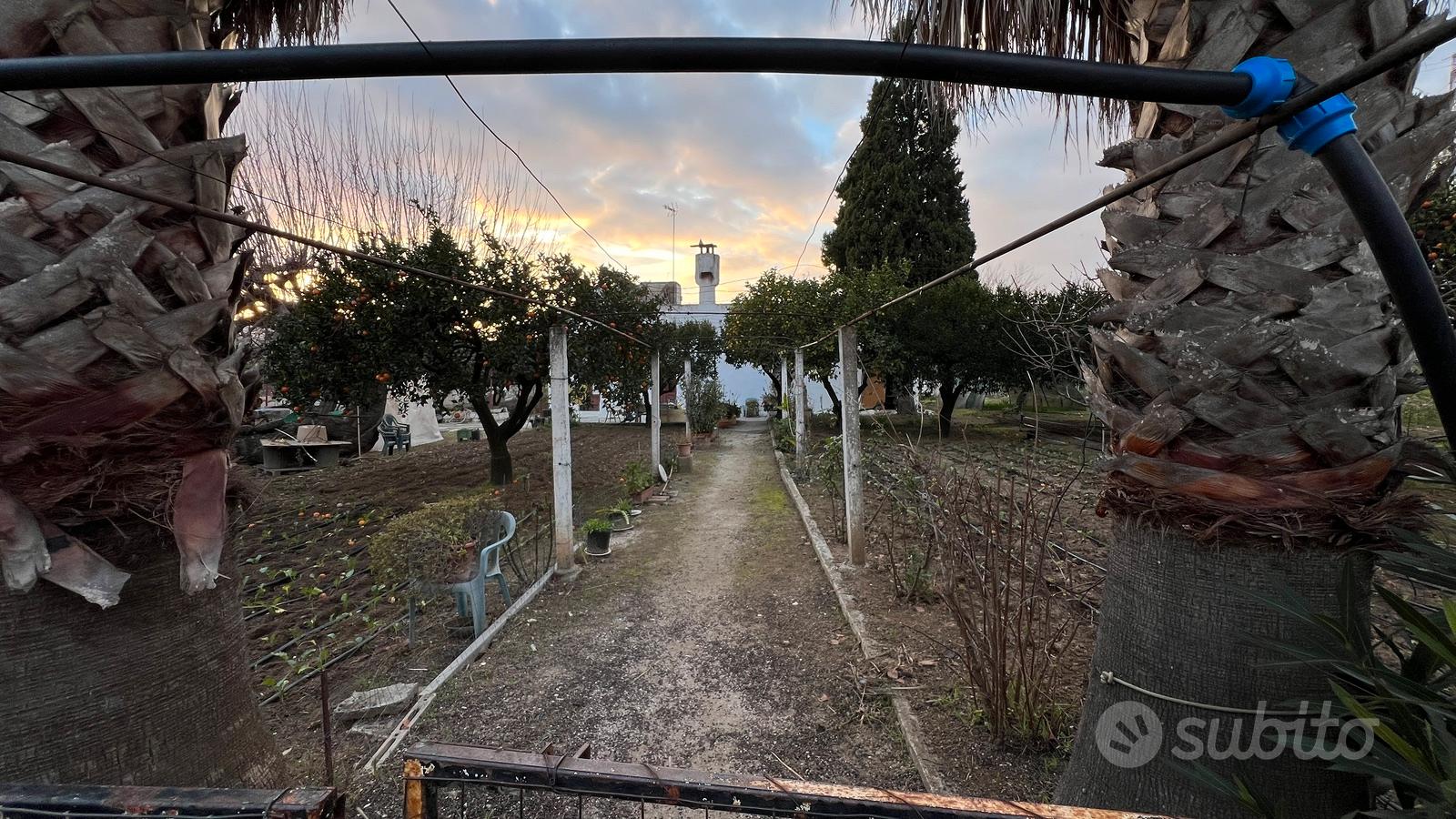 Casa di campagna - Altro