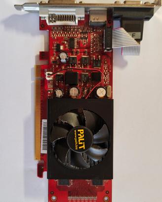 Scheda Video Palit Nvidia GeForce GT 210