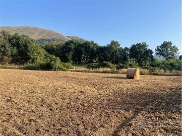 Terreno di 6200 m² a Sessa Aurunca