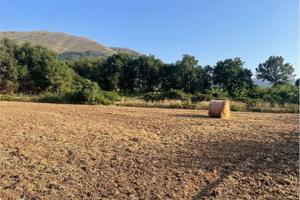 Terreno di 6200 m² a Sessa Aurunca