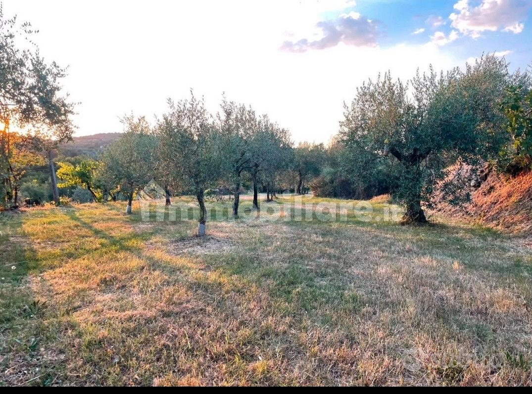 Terreno agricolo a Le Poggiola - Vista 4